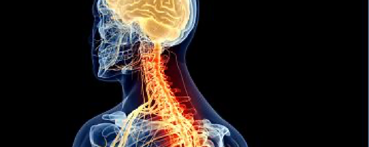 neurological-conditions-donnefit-physical-therapy-philadelphia-pa