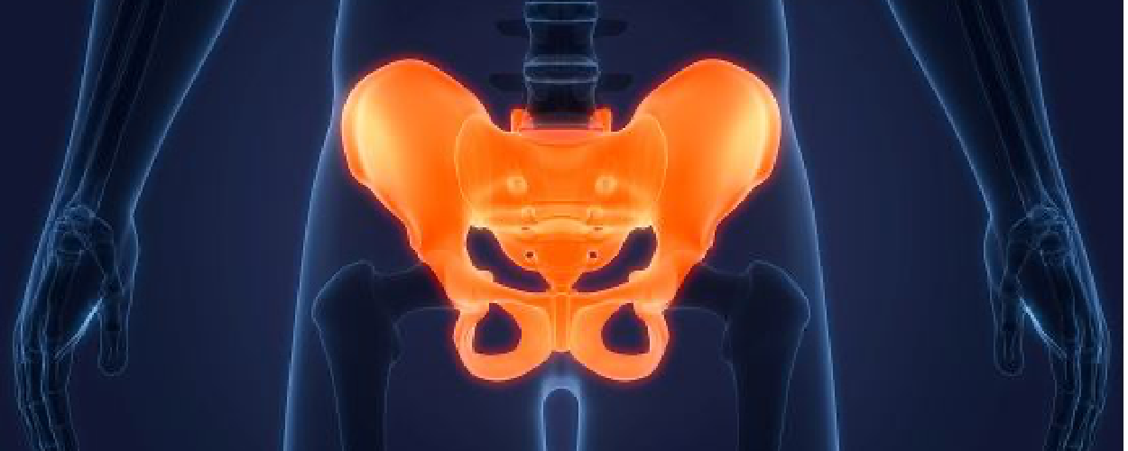 pelvic-dysfunction-donnefit-physical-therapy-philadelphia-pa